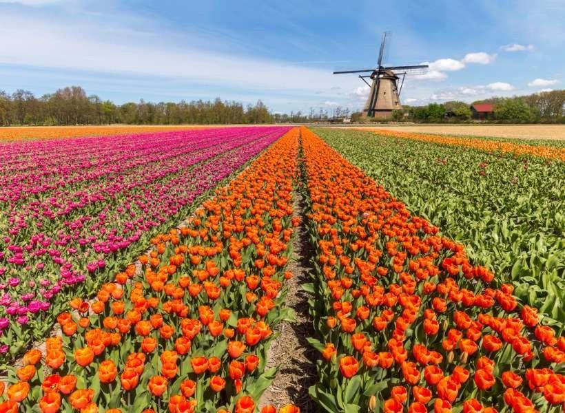Garden Find Zandvoort Bentveld Ngoại thất bức ảnh
